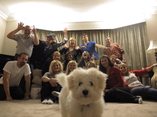 afrofilipino:
“ awwww-cute:
“ Family Christmas picture photobomb
”
those assholes ruined this dogs selfie
”